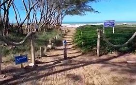 Vivamar2
